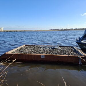 Afbeelding van een Vivara Pro x drijvend groen visdiefvlot trapezium in het water