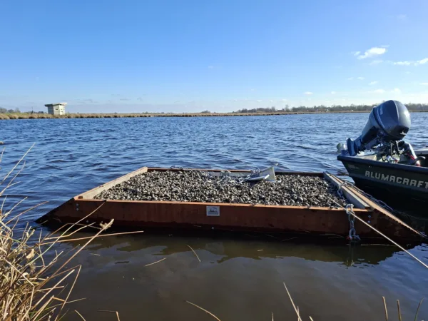 BE DG 06 broedeiland trapezium L | 1 Afbeelding van een Vivara Pro x drijvend groen visdiefvlot trapezium in het water