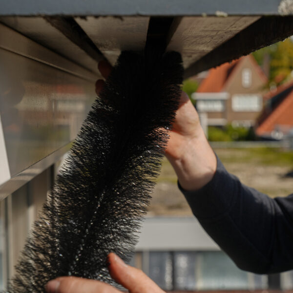 Weringsborstel natuurvrijmaken Weringsborstel in gebruik in Helmond voor natuurvrijmaken