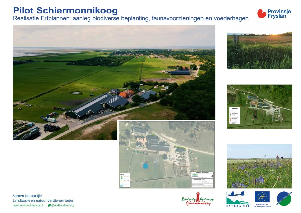 pilot schier Luchtfoto van een boerenerf op Schiermonnikoog met stallen, weilanden en de Waddenzee op de achtergrond